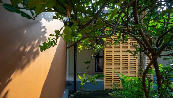 A modern tropical house with lattice walls, a green garden, and natural lighting in Purbalingga, designed by YPA Architecture Studio in 2024.