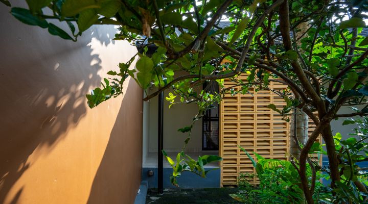 A modern tropical house with lattice walls, a green garden, and natural lighting in Purbalingga, designed by YPA Architecture Studio in 2024.